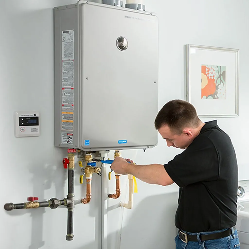 tankless water heater repair in Lamona, WA